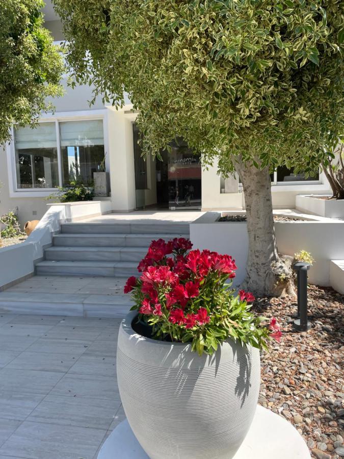 Ninemia Beach Hotel & Suites Agia Marina  Exterior photo